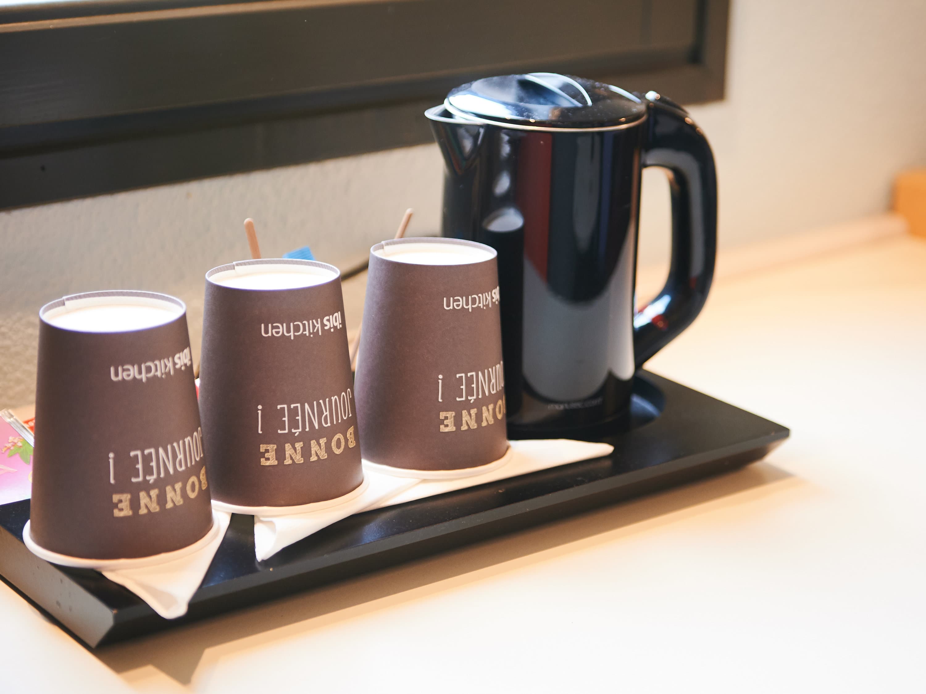 ibis Lyon Gerland Musée des Confluences