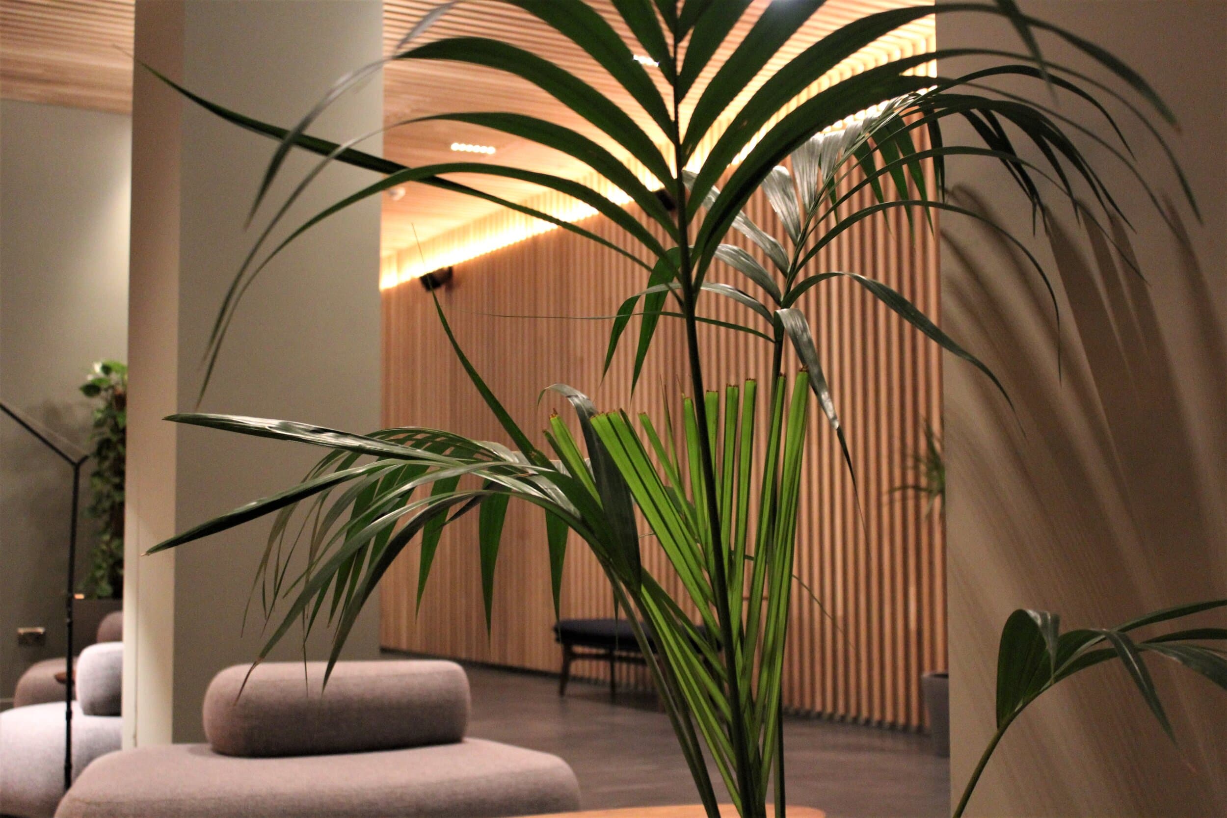 Zedwell Piccadilly Circus