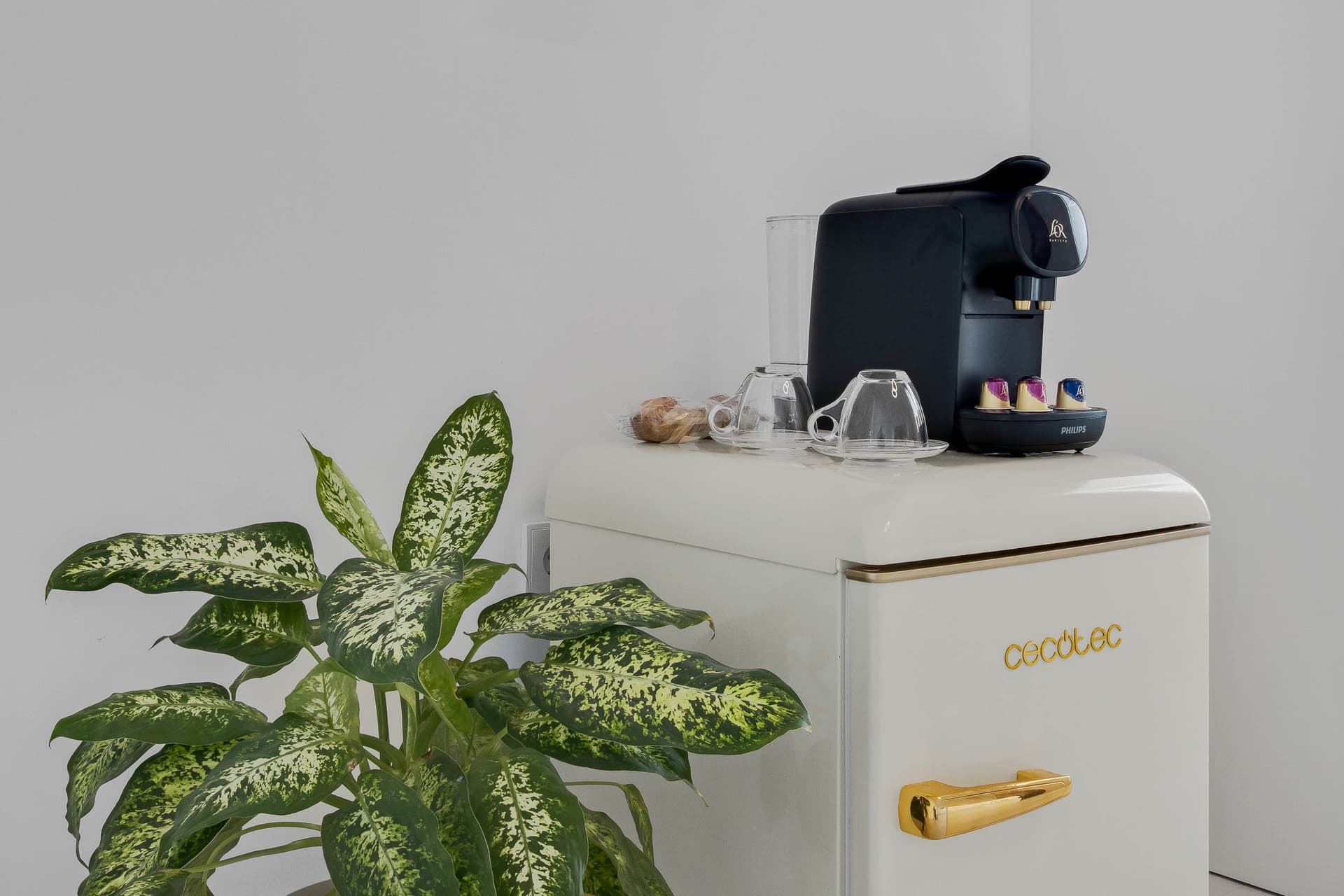 Casa Banderas Spa